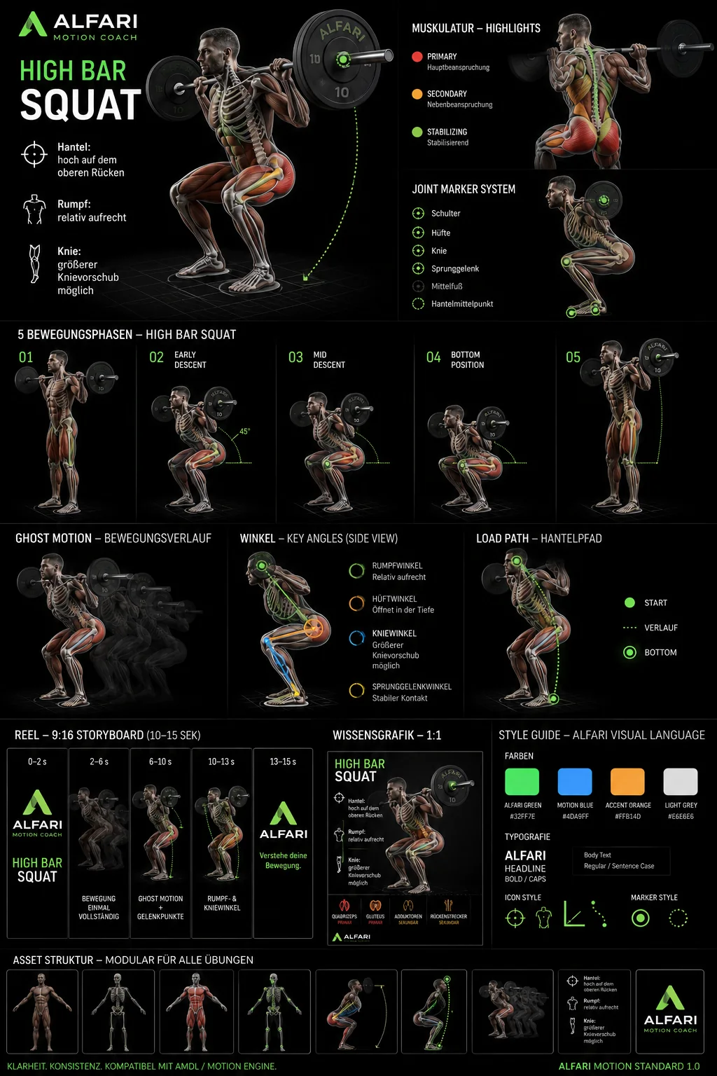 ALFARI Motion Coach High Bar Squat: anatomisches Bewegungsvisual mit Bewegungsphasen, Muskelmarkierungen, Gelenkpunkten, Winkel- und Bewegungsbahn-Darstellung.